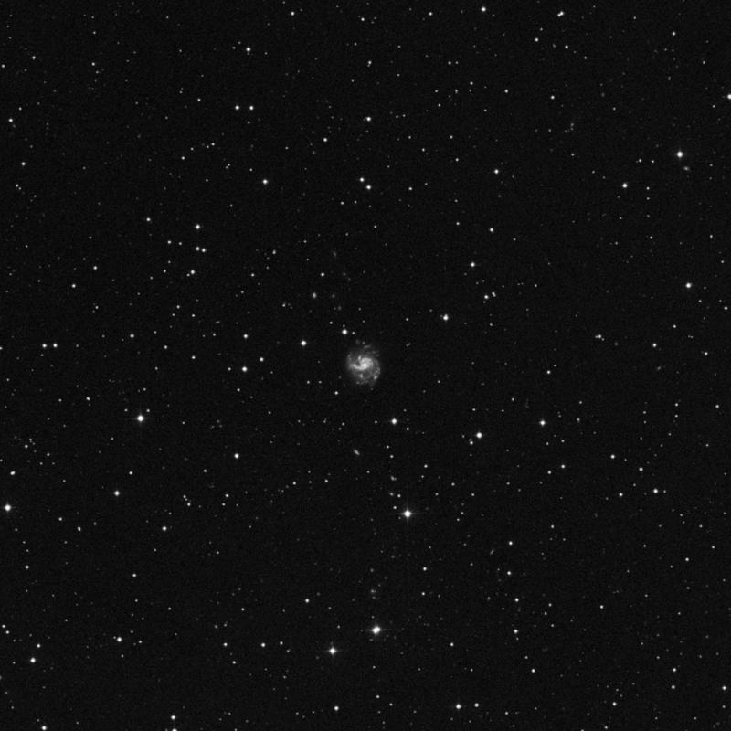 Image of NGC 2532 - Intermediate Spiral Galaxy in Lynx star