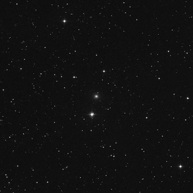 Image of NGC 2534 - Elliptical Galaxy in Lynx star