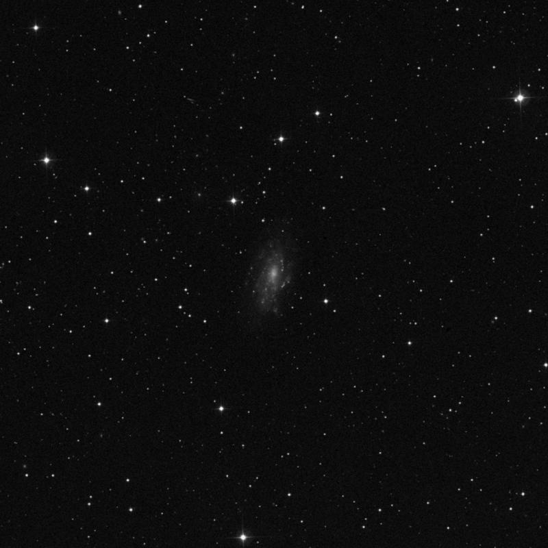 Image of NGC 2541 - Intermediate Spiral Galaxy in Lynx star