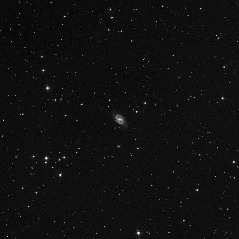 Image of NGC 2543 - Spiral Galaxy in Lynx star
