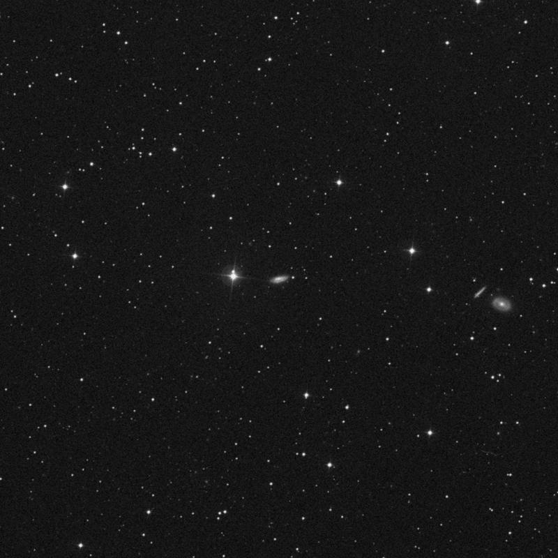 Image of NGC 2550 - Spiral Galaxy in Camelopardalis star