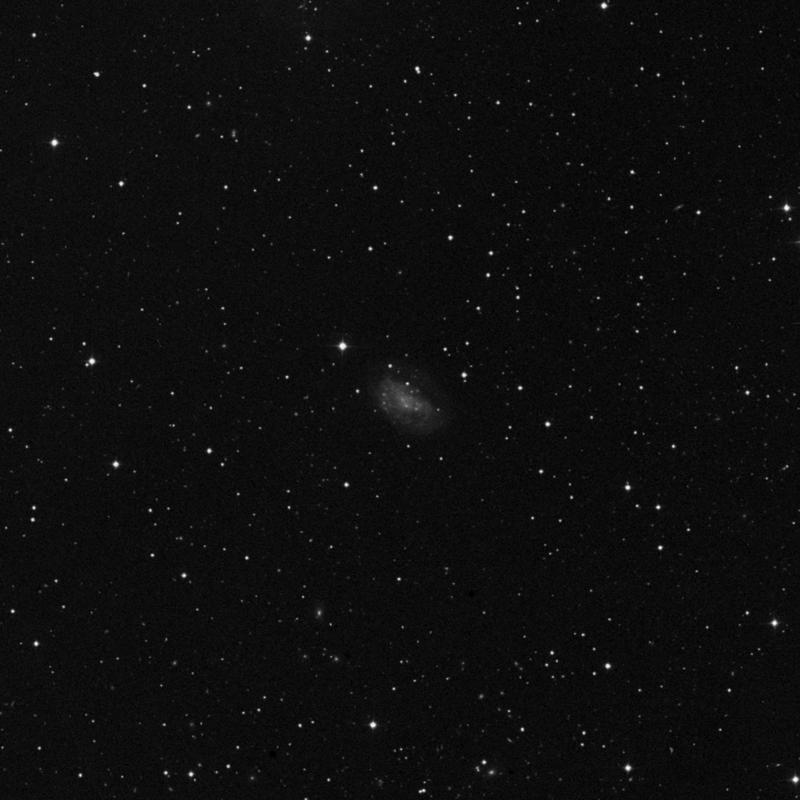 Image of NGC 2552 - Intermediate Spiral(SABm) Galaxy in Lynx star