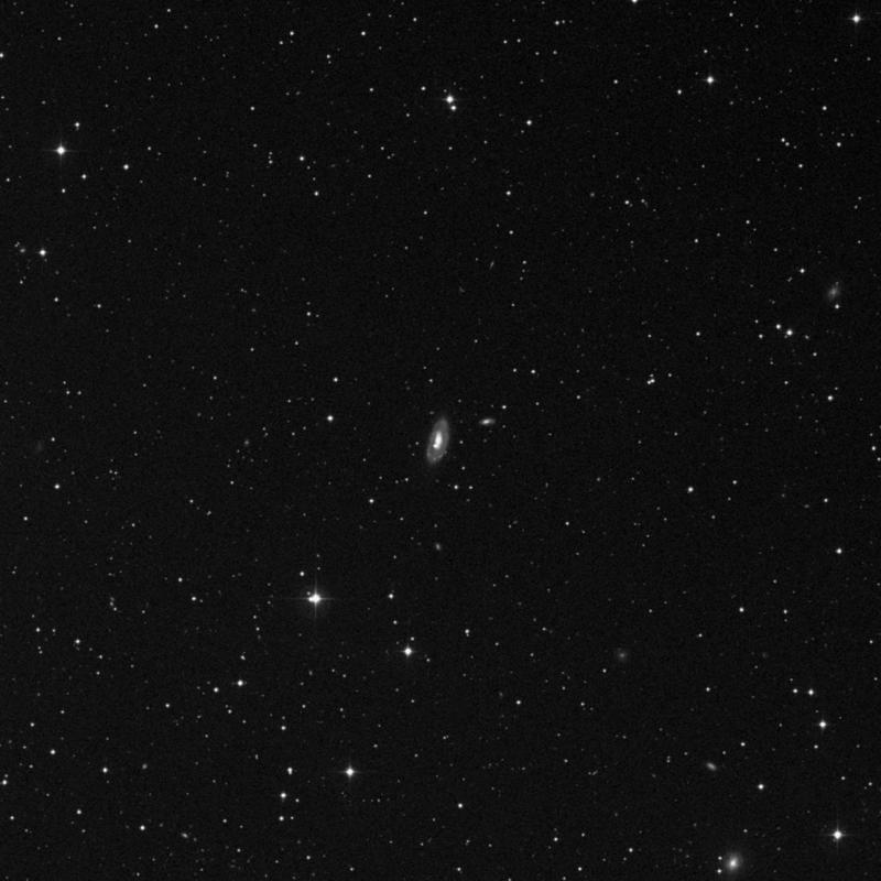 Image of NGC 2565 - Spiral Galaxy in Cancer star