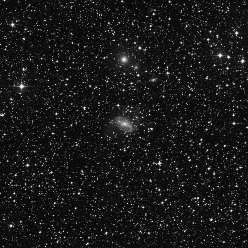 Image of NGC 2566 - Spiral Galaxy in Puppis star