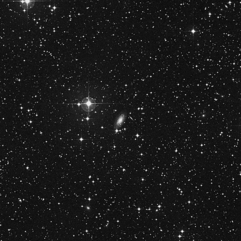 Image of NGC 2574 - Barred Spiral Galaxy in Hydra star