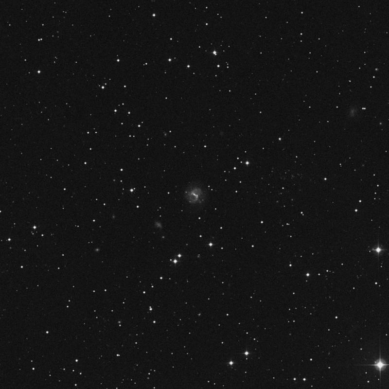 Image of NGC 2604 - Galaxy in Cancer star