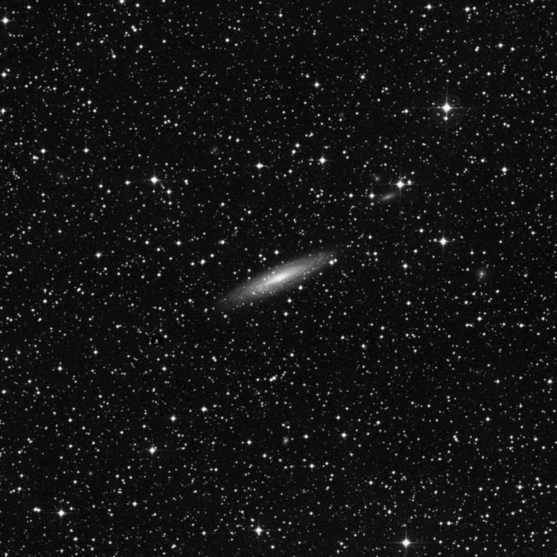 Image of NGC 2613 - Spiral Galaxy in Pyxis star