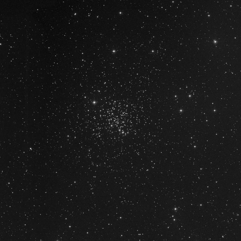 Image of Messier 67 (King Cobra) - Open Cluster in Cancer star