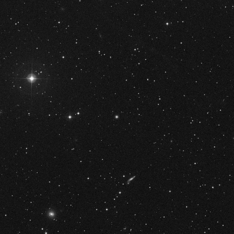 Image of NGC 2636 - Elliptical Galaxy in Camelopardalis star