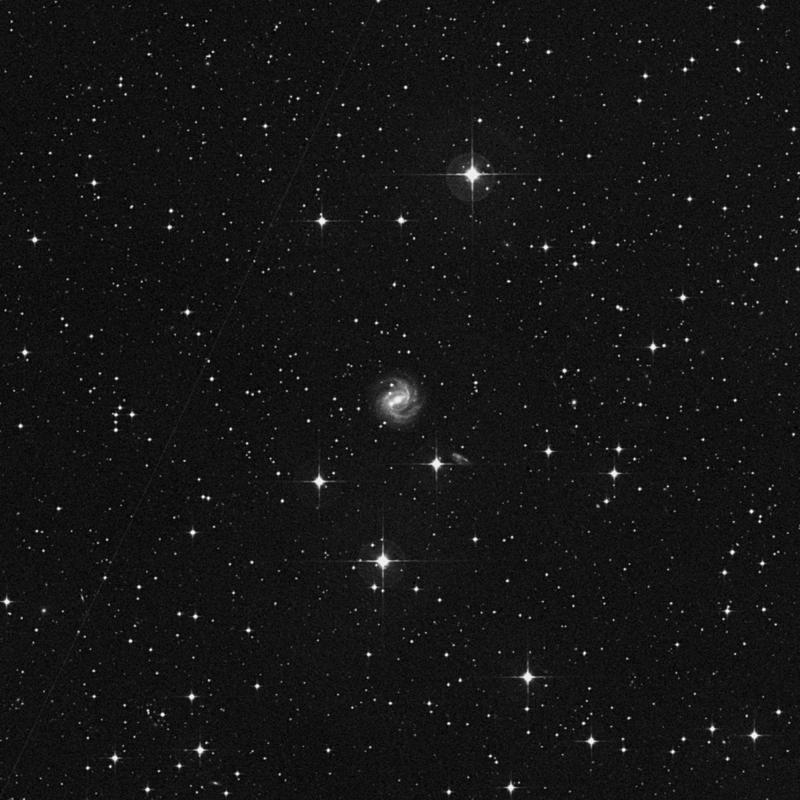 Image of NGC 2642 - Spiral Galaxy in Hydra star