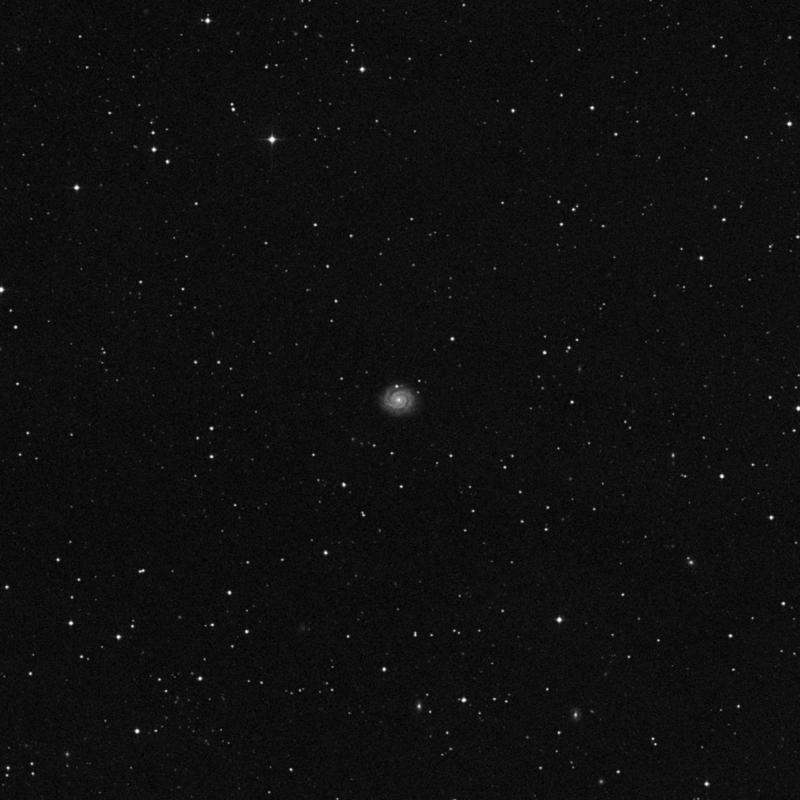 Image of NGC 2649 - Intermediate Spiral Galaxy in Lynx star