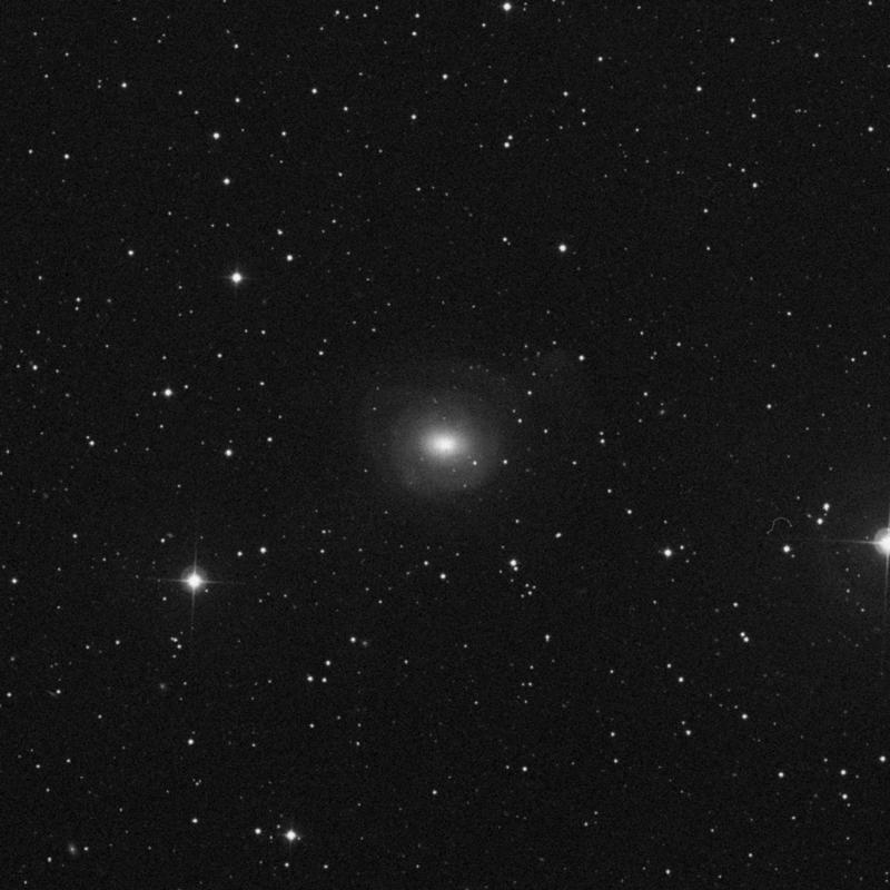 Image of NGC 2655 - Lenticular Galaxy in Camelopardalis star