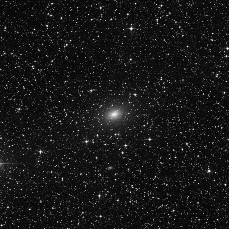 Image of NGC 2663 - Elliptical Galaxy in Pyxis star