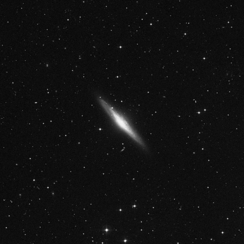 Image of NGC 2683 - Spiral Galaxy in Lynx star