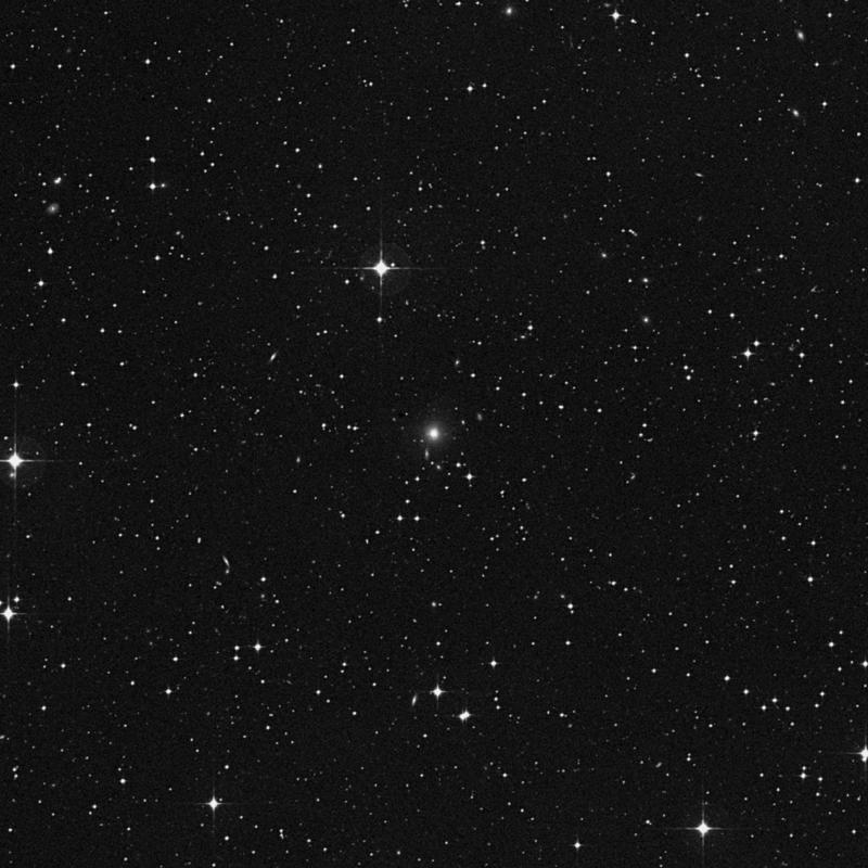 Image of NGC 2696 - Elliptical Galaxy in Hydra star