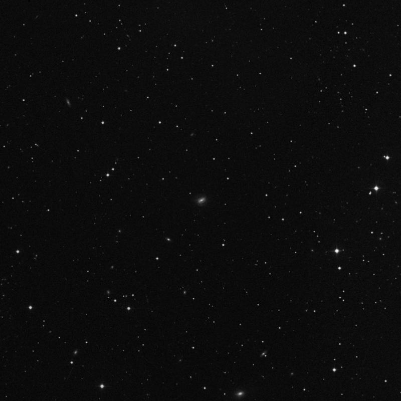 Image of NGC 2704 - Spiral Galaxy in Lynx star