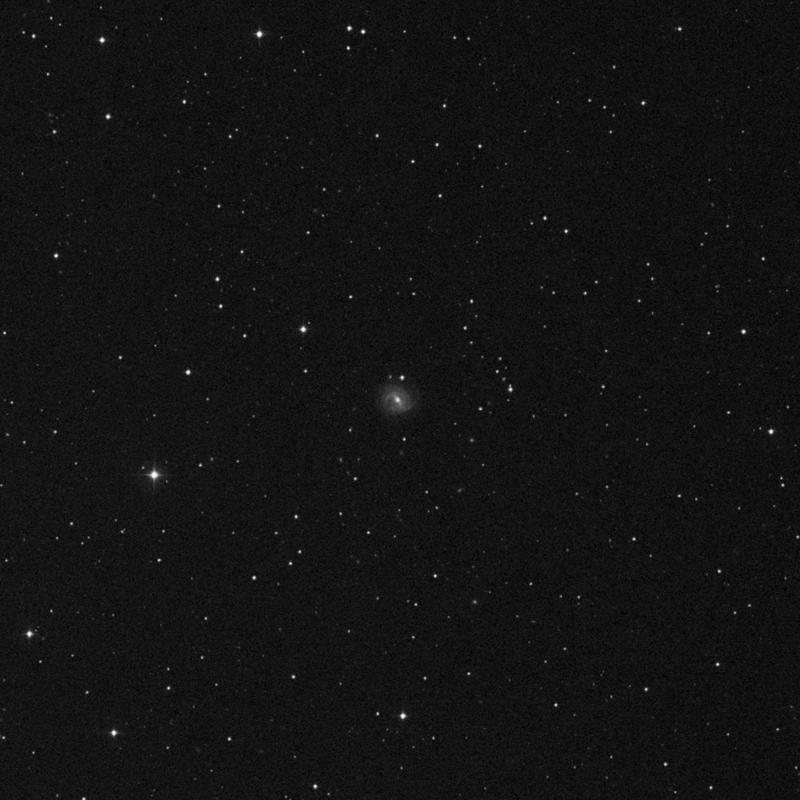 Image of NGC 2746 - Spiral Galaxy in Lynx star