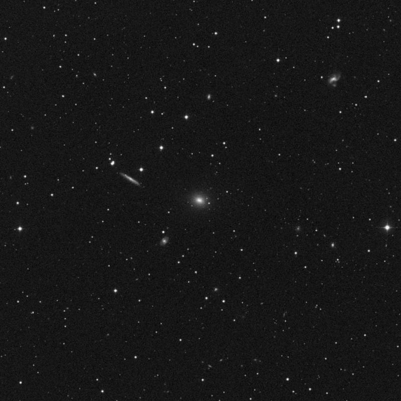 Image of NGC 2749 - Elliptical Galaxy in Cancer star