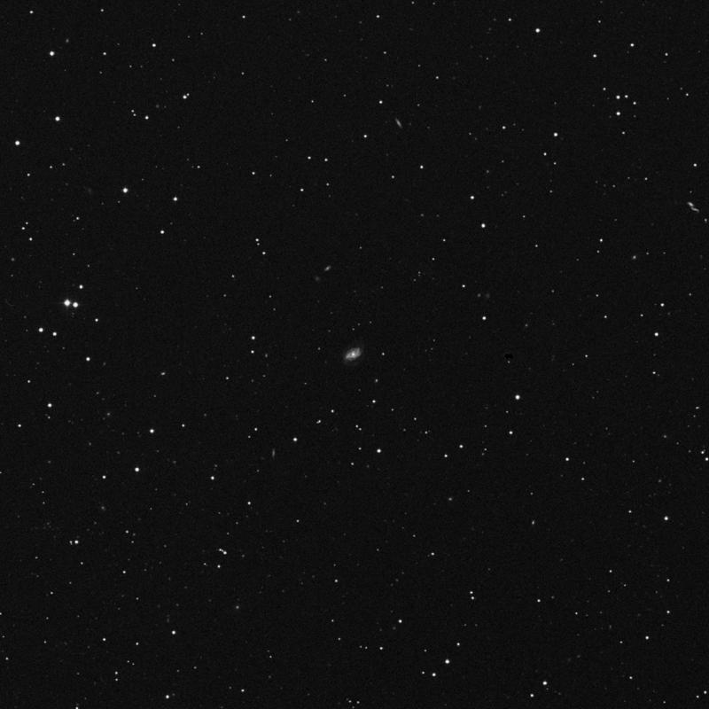Image of NGC 2755 - Spiral Galaxy in Lynx star