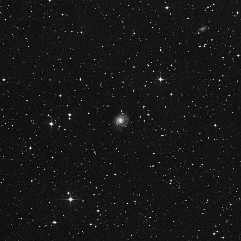 Image of NGC 2763 - Galaxy in Hydra star
