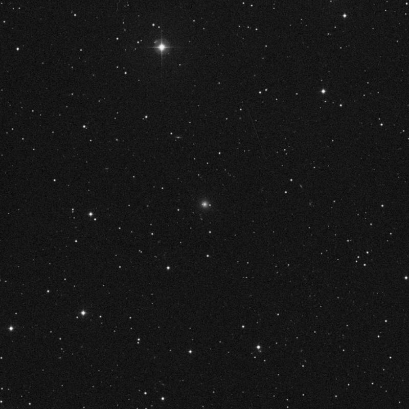 Image of NGC 2774 - Elliptical Galaxy in Cancer star