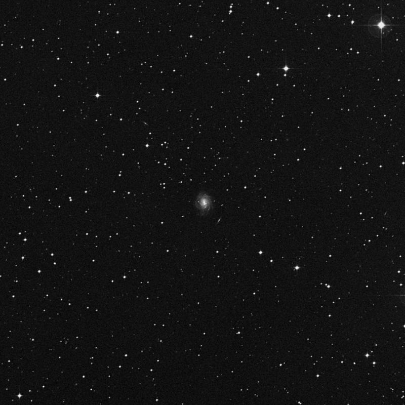 Image of NGC 2817 - Spiral Galaxy in Hydra star