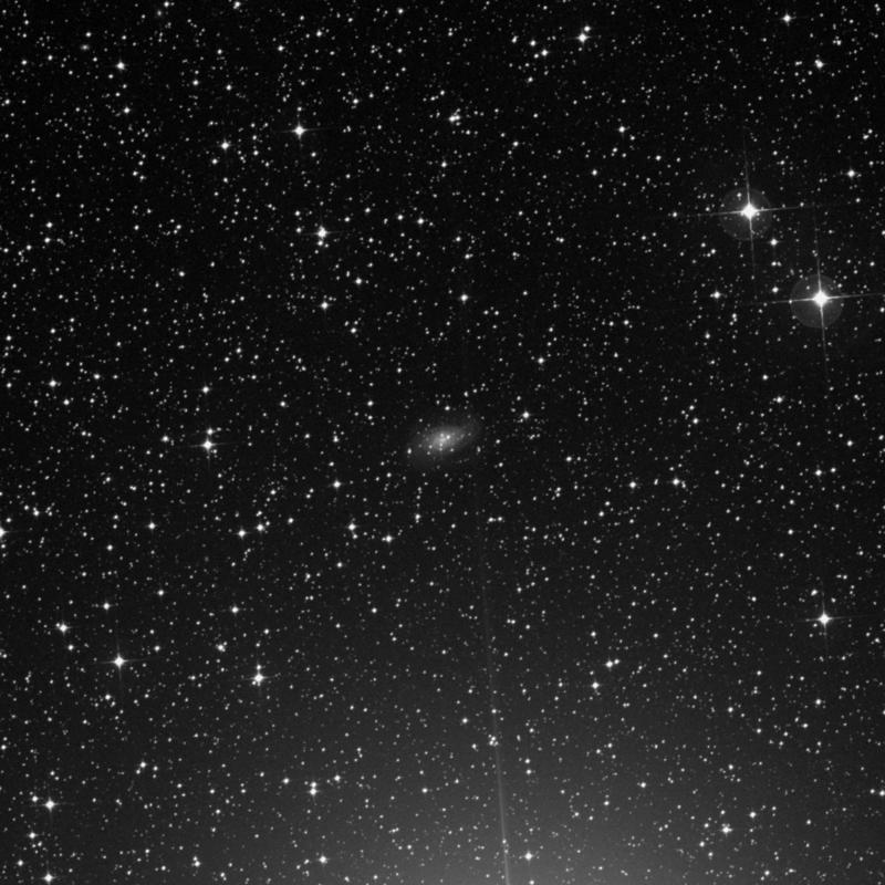 Image of NGC 2836 - Spiral Galaxy in Carina star