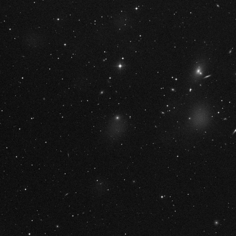 Image of NGC 2839 - Elliptical Galaxy in Lynx star
