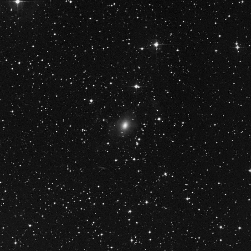 Image of NGC 2865 - Elliptical Galaxy in Hydra star