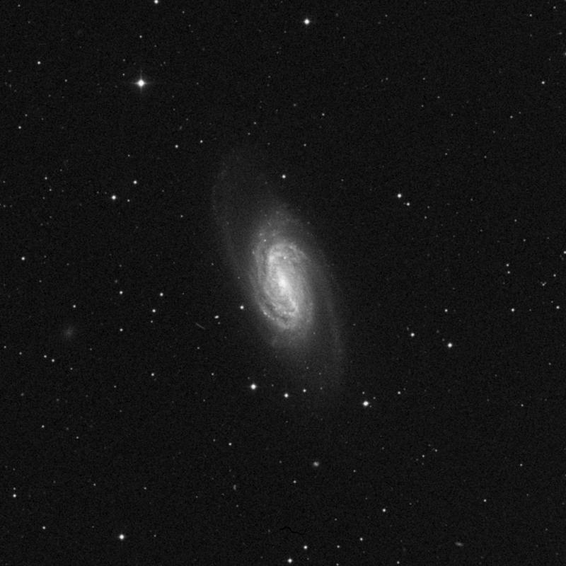 Image of NGC 2903 - Spiral Galaxy in Leo star