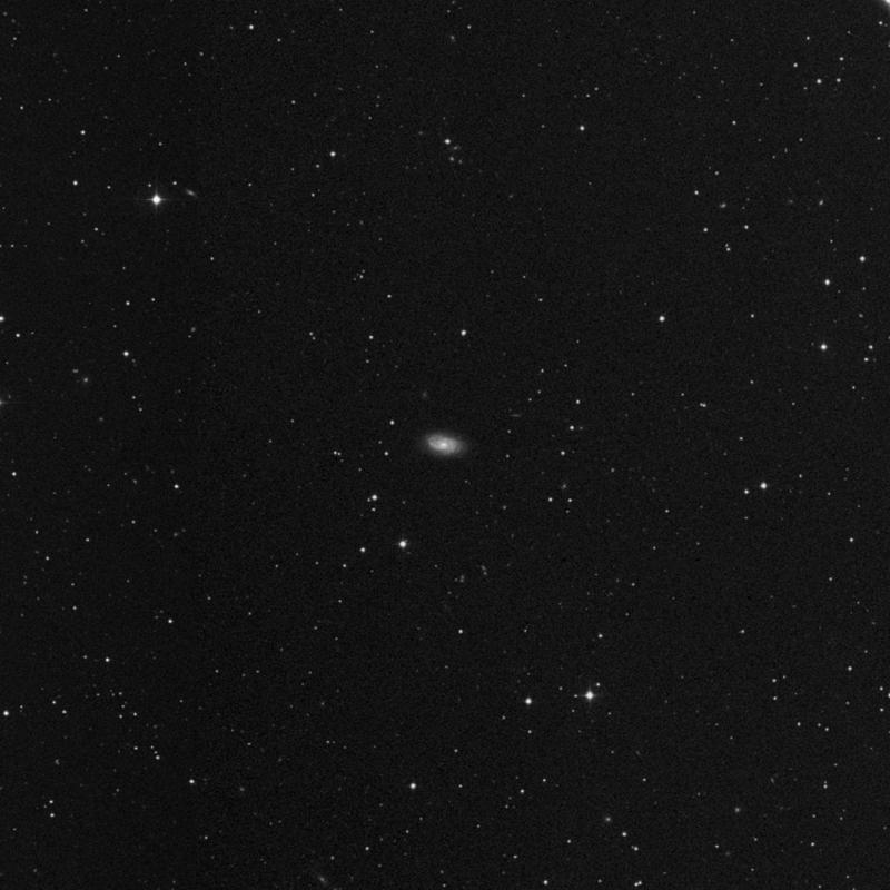 Image of NGC 2906 - Spiral Galaxy in Leo star