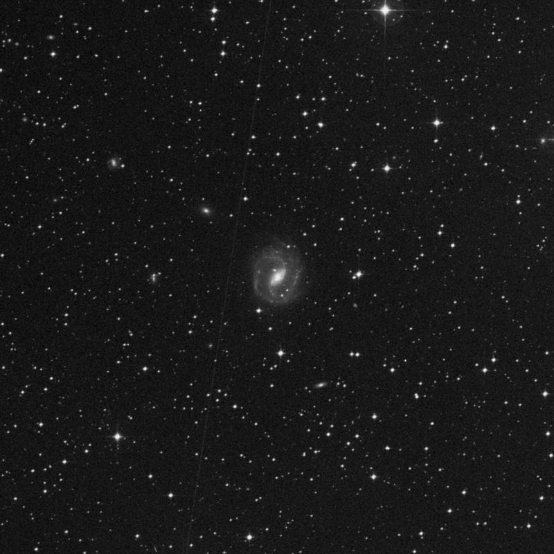 Image of NGC 2935 - Spiral Galaxy in Hydra star