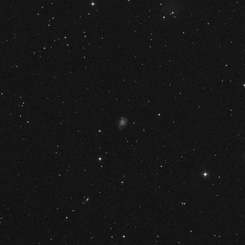 Image of NGC 2942 - Spiral Galaxy in Leo Minor star