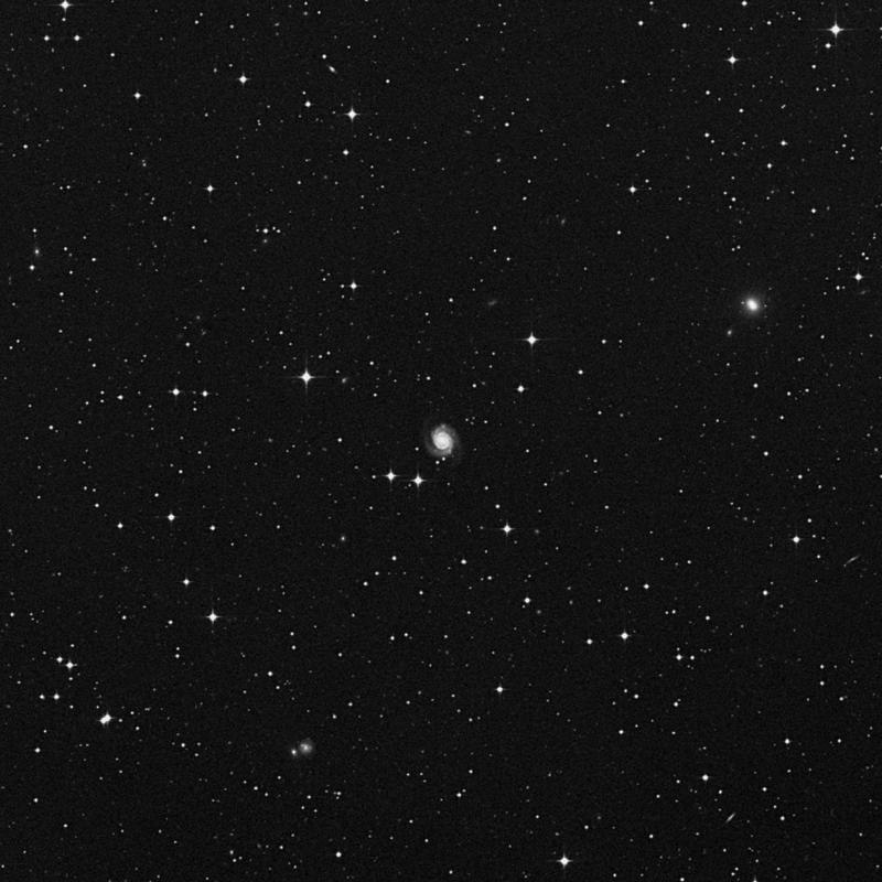 Image of NGC 2947 - Intermediate Spiral Galaxy in Hydra star