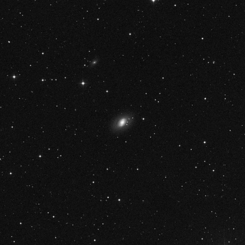 Image of NGC 2950 - Lenticular Galaxy in Ursa Major star