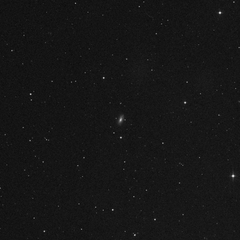 Image of NGC 2955 - Intermediate Spiral Galaxy in Leo Minor star