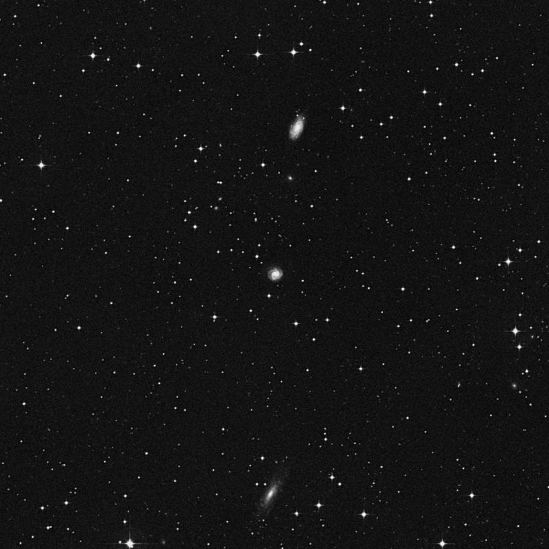 Image of NGC 2978 - Intermediate Spiral Galaxy in Sextans star