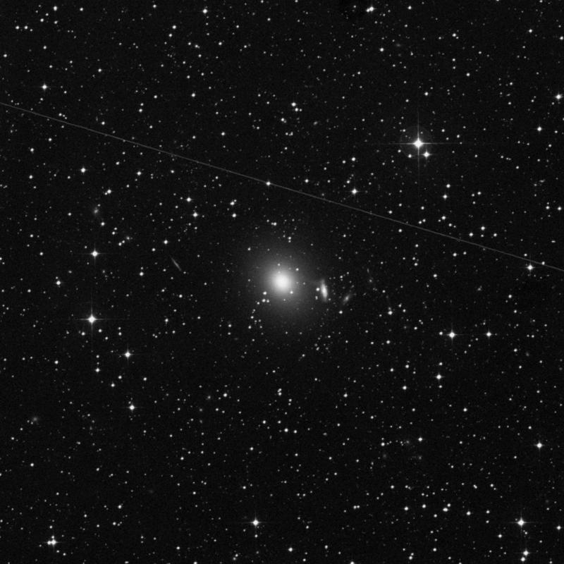 Image of NGC 2986 - Elliptical Galaxy in Hydra star