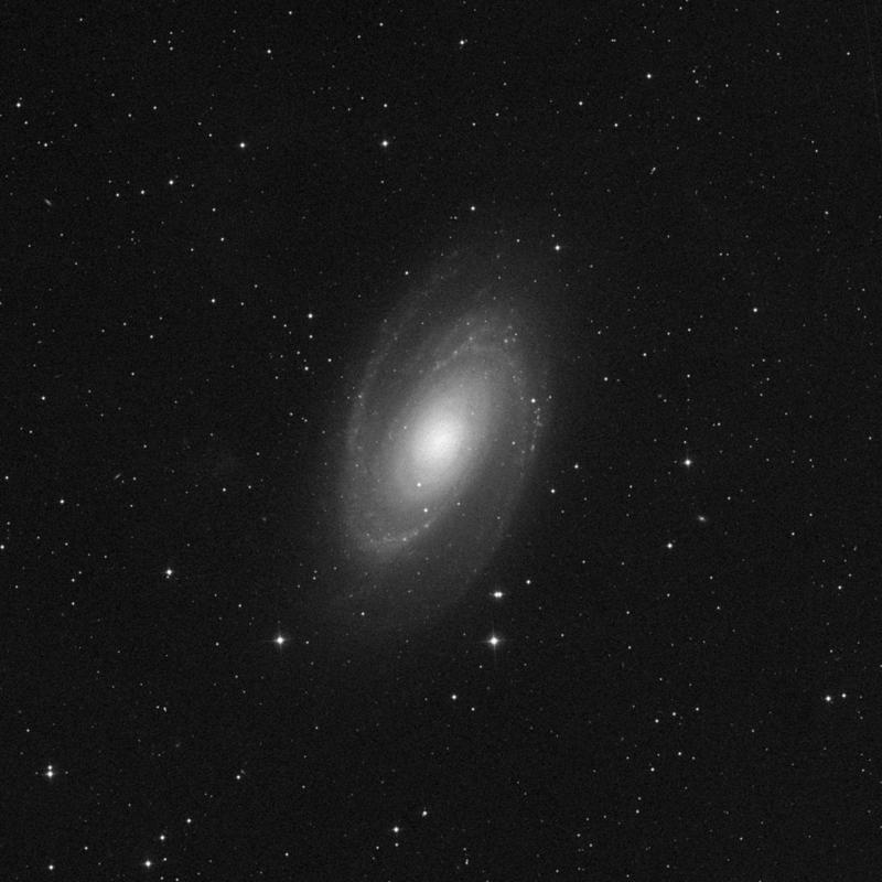 Image of Messier 81 (Bode's Galaxy) - Spiral Galaxy in Ursa Major star
