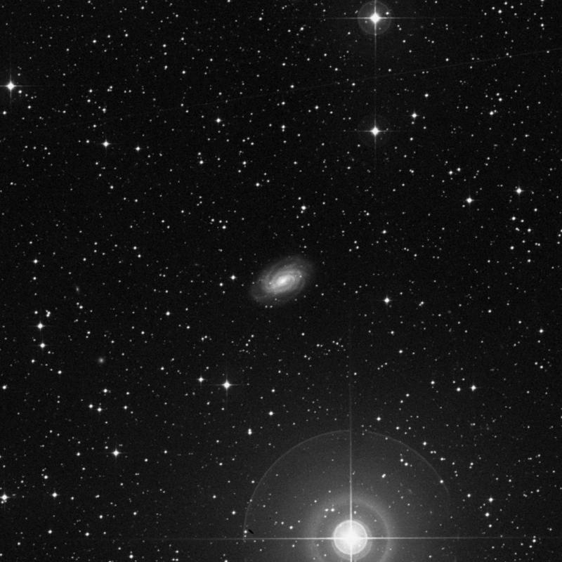 Image of NGC 3054 - Spiral Galaxy in Hydra star