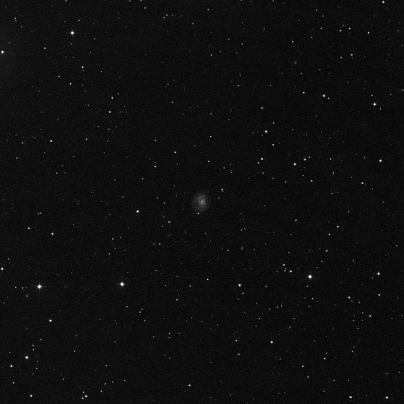 Image of NGC 3061 - Spiral Galaxy in Draco star