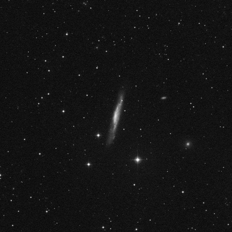 Image of NGC 3079 - Galaxy in Ursa Major star