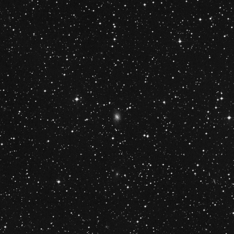 Image of NGC 3120 - Intermediate Spiral Galaxy in Antlia star