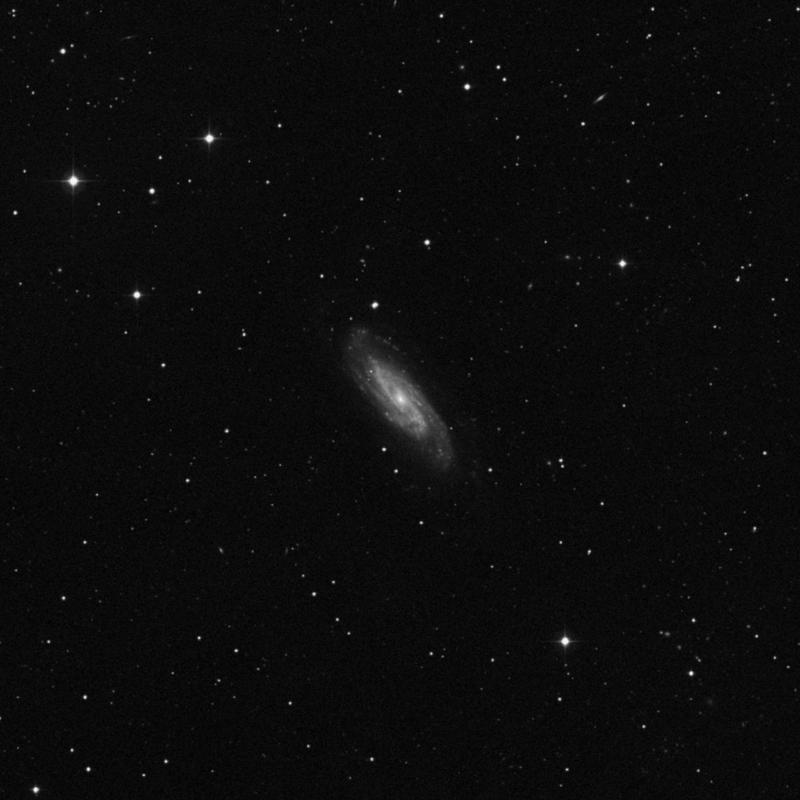 Image of NGC 3198 - Spiral Galaxy in Ursa Major star