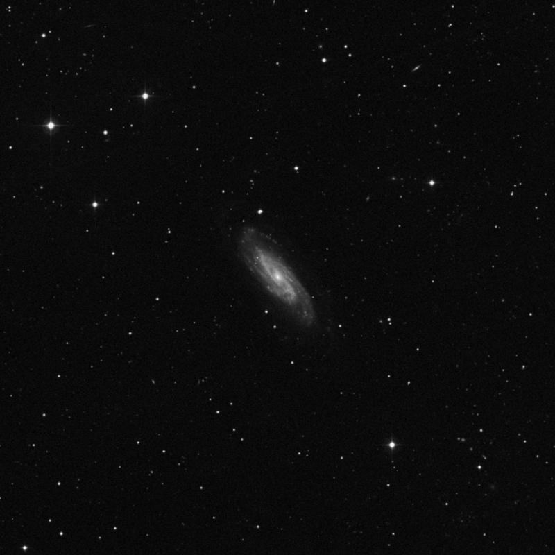 Image of NGC 3198 - Spiral Galaxy in Ursa Major star