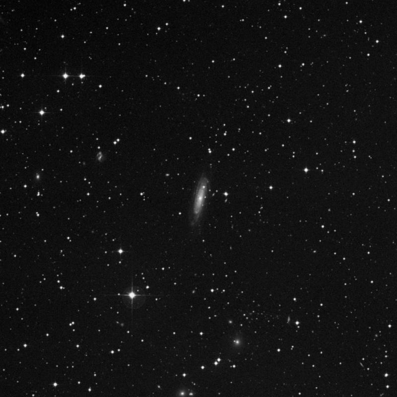 Image of NGC 3200 - Spiral Galaxy in Hydra star