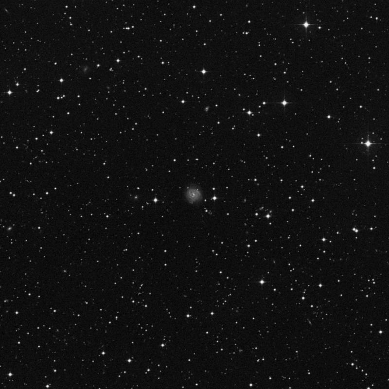 Image of NGC 3208 - Spiral Galaxy in Hydra star
