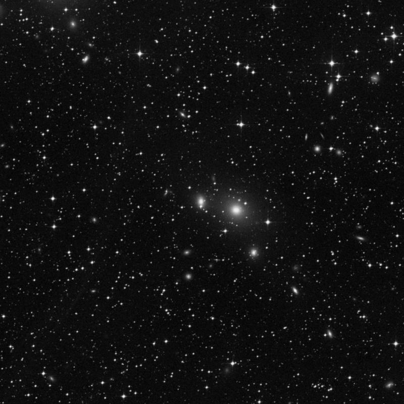 Image of NGC 3260 - Elliptical Galaxy in Antlia star