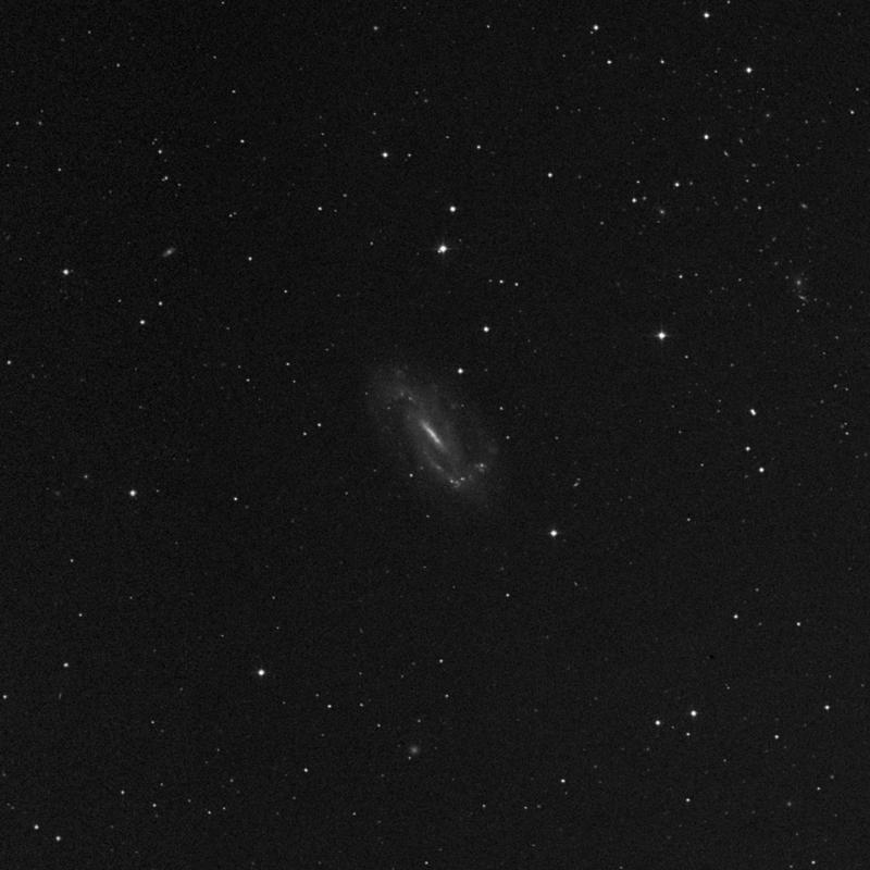 Image of NGC 3319 - Galaxy in Ursa Major star