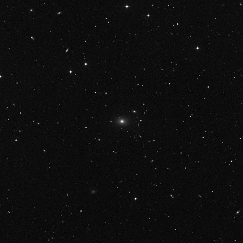 Image of NGC 3357 - Elliptical Galaxy in Leo star